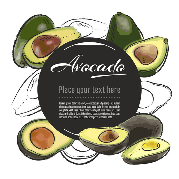 Vektor vázlat Avocado banner fehér háttérrel. Van hely az sms-nek. Kézzel rajzolt vázlat gyümölcs grafikai tervezés - Vektor, kép
