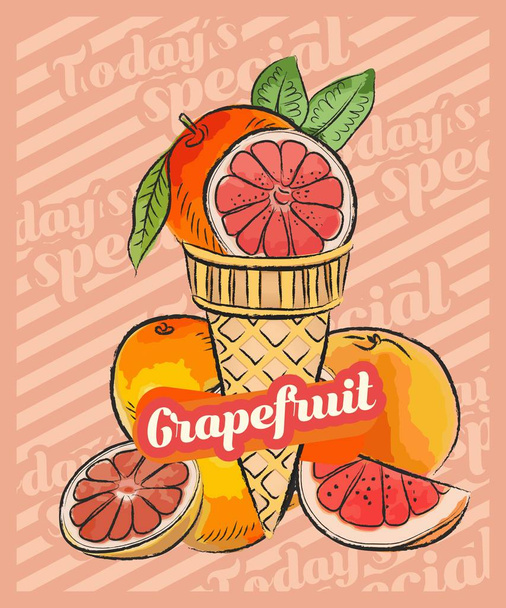 Мороженое с грейпфрутом в рожке. Векторный эскиз. Идея фруктового мороженого, концепция
 - Вектор,изображение