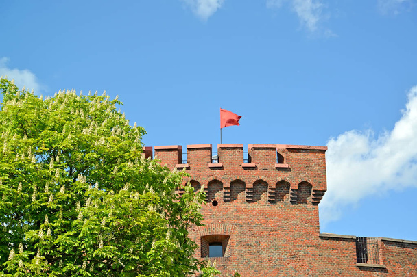 The red flag flutters over Don tower in the spring afternoon. Kaliningrad - Zdjęcie, obraz