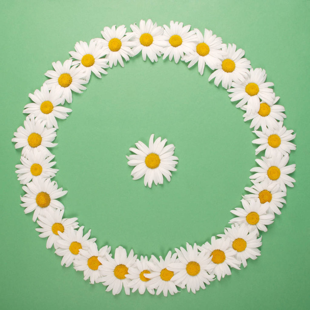 Round frame of daisies with space for text, floral herbal postcard - Foto, Imagem