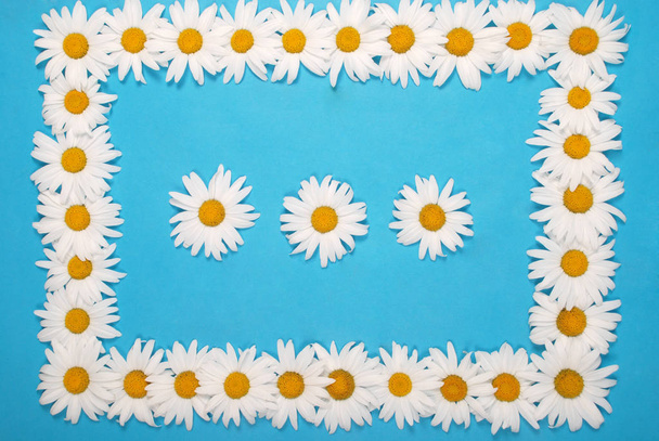 Kamillenrahmen mit Platz für Text, florale Kräuterpostkarte - Foto, Bild