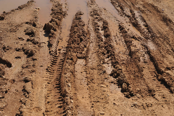 Rastros de vehículos de ruedas utilizados en la agricultura en un camino de tierra
 - Foto, Imagen