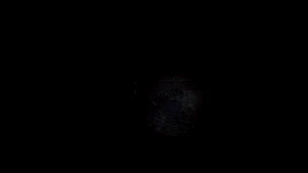 eine Taschenlampe unter der Erde leuchten - Filmmaterial, Video