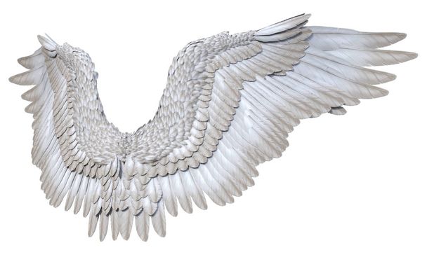 3D αποδιδμένο λευκό φαντασία άγγελος φτερά σε λευκό φόντο-3D απεικόνιση - Φωτογραφία, εικόνα
