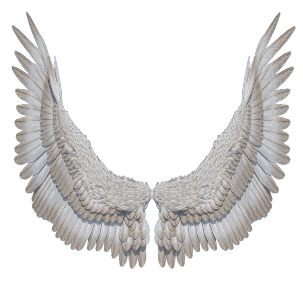 3D gerenderde witte fantasie engel vleugels op witte achtergrond-3D illustratie - Foto, afbeelding