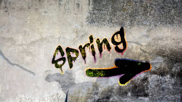Wall Graffiti to Spring - Photo, Image