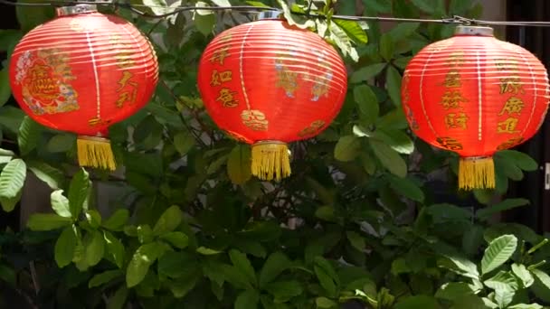 Paper lanterns on shabby building. Red paper lanterns hanging on ceiling of weathered concrete temple building on sunny day between juicy greenery in oriental country. traditional decoration - Footage, Video