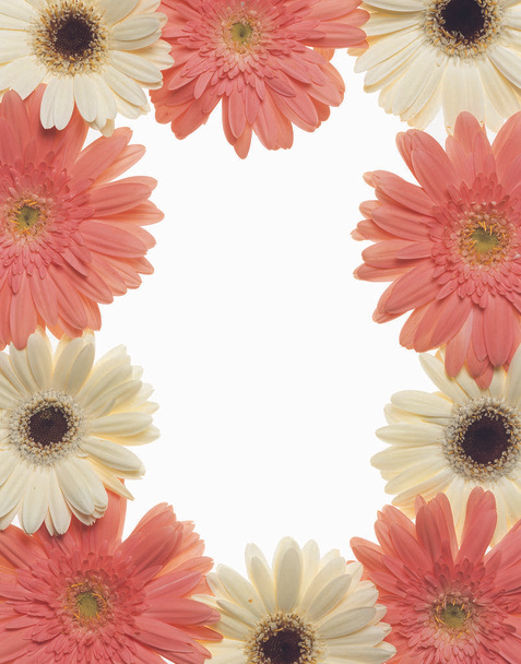 Artistic frame of gerbera flowers - Foto, Bild