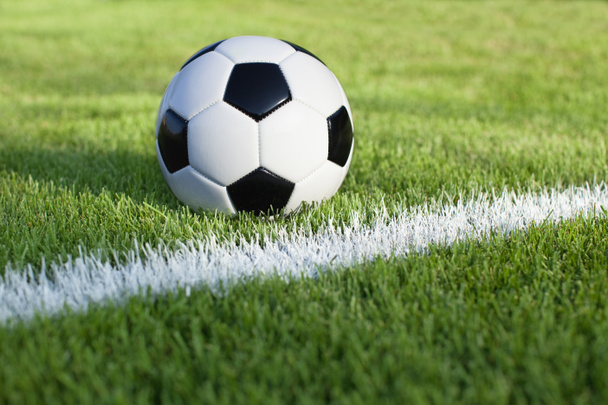 Pallone da calcio si siede sul campo di erba con striscia bianca
 - Foto, immagini
