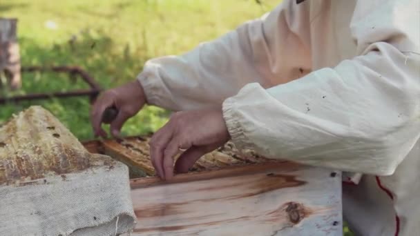 A beekeeper works with the bees and the hives in the apiary. a man in a protective suit at the apiary. Employee pulls the frame from the hive. a man pulls out the honeycomb with honey. Summer harvest - Záběry, video