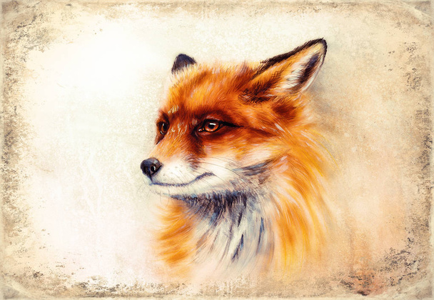 Painting of wild fox on paper. Aquarelle background. - 写真・画像