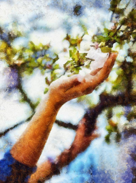 Adoring van de lente Magnolia bloemen en computer schilderen effect. - Foto, afbeelding