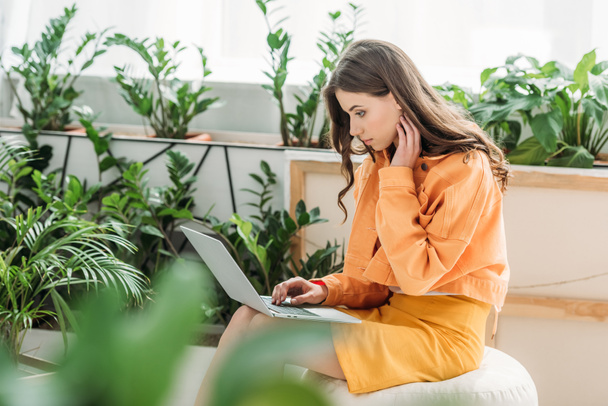 selective focus of attractive young woman using laptop while sitting on pouf surrounded by green plants at home - Photo, Image