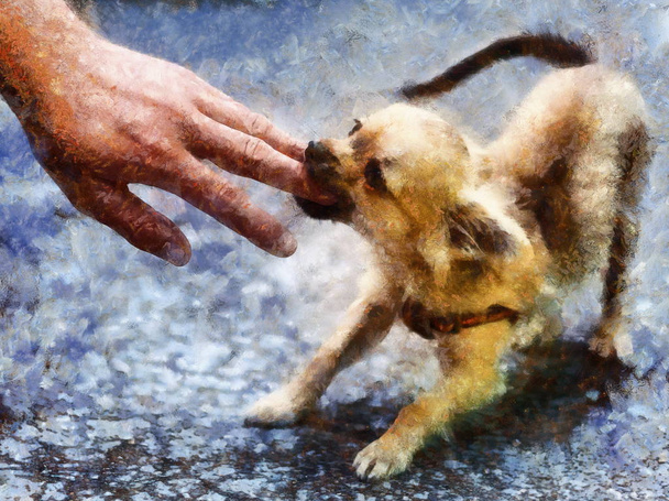 kleine charmante schattige Chihuahua puppy. Het aanvallen van een personen hand en computer schilderen effect. - Foto, afbeelding