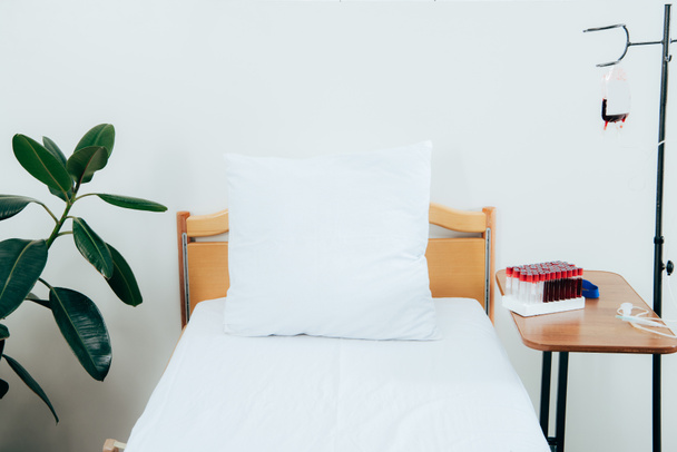 cama con almohada, planta verde, células empaquetadas y tubos de análisis de sangre en la sala de hospital
 - Foto, Imagen