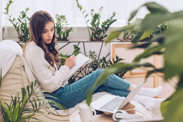 selective focus of attentive young woman writing using laptop and writing in notebook while sitting near green plants at home - Foto, imagen