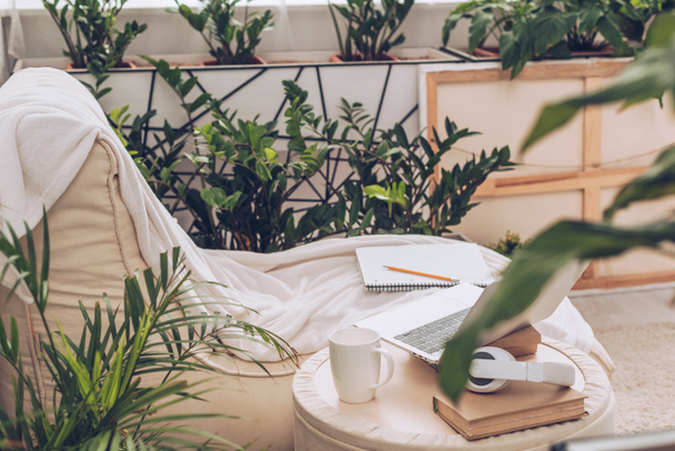 selective focus of laptop, headphones and coffee cup on pouf near soft chaise lounge surrounded by green plants  - Photo, Image
