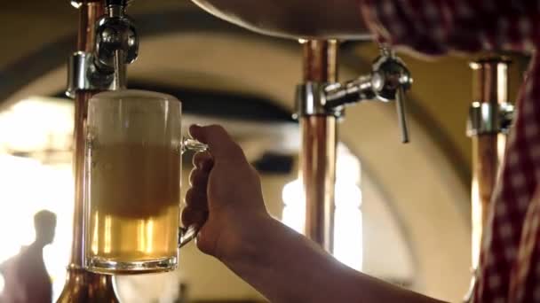 Zanaat taslak bira bir bardağa dökülür - Video, Çekim