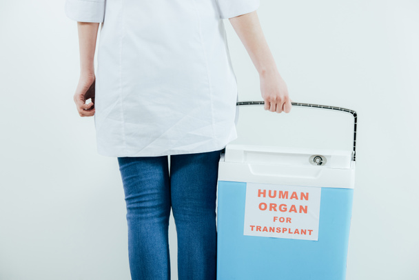 visão recortada do médico em balde de retenção de casaco branco para transplante isolado em cinza
 - Foto, Imagem