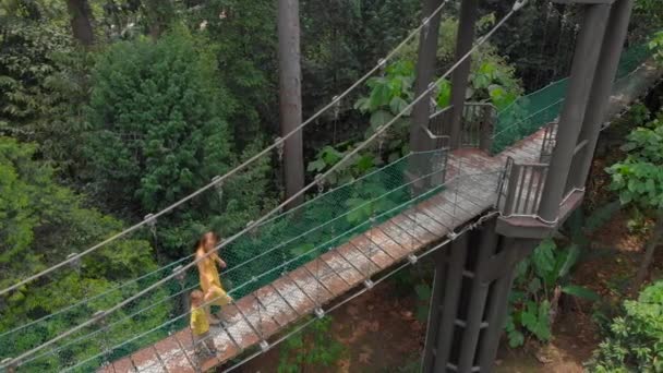 Aerial shot of a young woman and her little son walking on a suspention bridge over the jungles. Vacation in tropics concept - Filmagem, Vídeo
