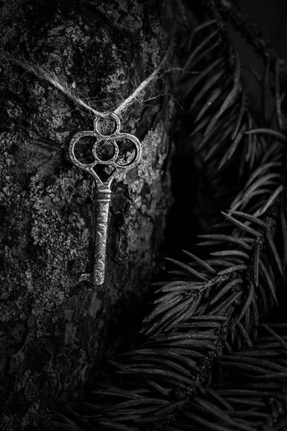 Magiczny starożytny klucz w ciemnym tajemniczym lesie - Zdjęcie, obraz