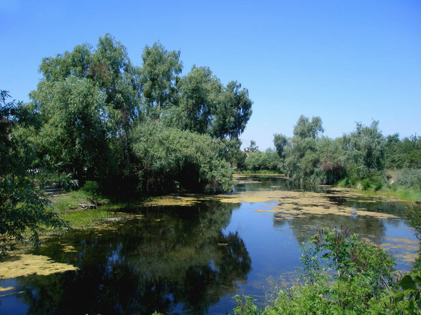 Βραδινό τοπίο, ποταμός και δέντρα σε φόντο Καλοκαιρινού γαλάζιου ουρανού. - Φωτογραφία, εικόνα