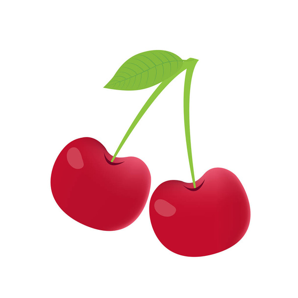 Cherry on white background, Cherry vector isolated, Cherry graph - Vektori, kuva
