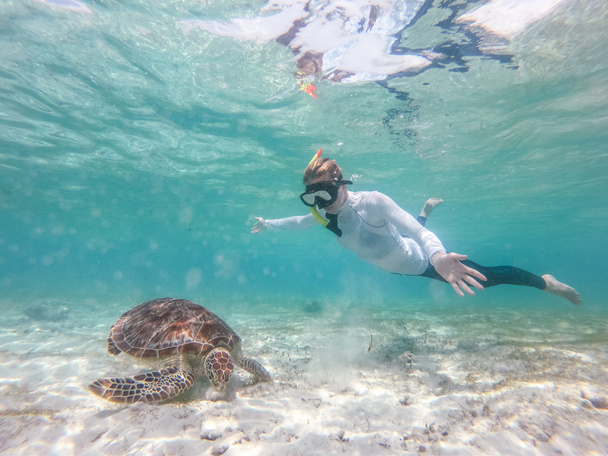 Woman on vacations wearing snokeling mask swimming with sea turtle in turquoise blue water of Gili islands, Indonesia. Underwater photo. - Photo, Image