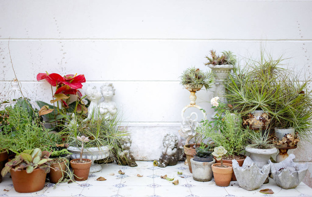 jardinería exterior de la decoración de la mesa en casa
 - Foto, Imagen