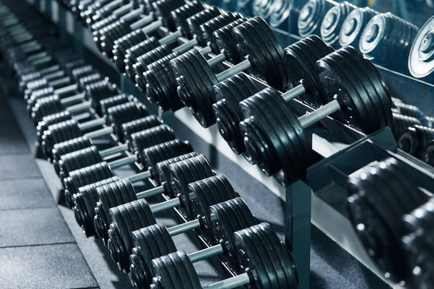 close up view of arranged dumbbells in gym - Fotografie, Obrázek