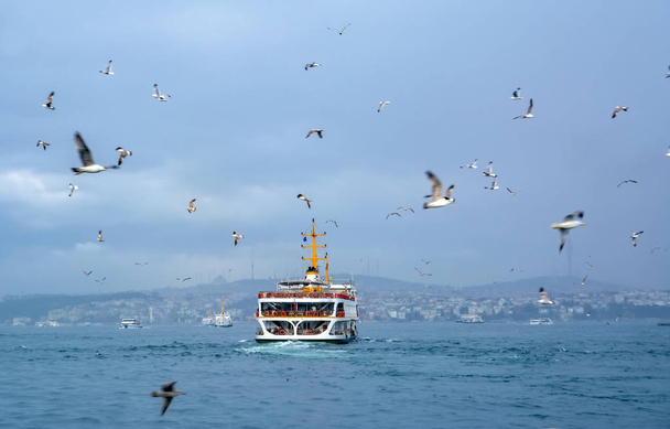 トルコのイスラム建築と水輸送 - 海から美しい観光名所がボスポラス海峡を航海します。都市の景観アット サンセット - イスタンブールの古いモスクとトルコの蒸気船、ゴールデンホーンの表示. - 写真・画像