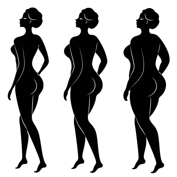 Collection. Silhouette of a beautiful woman figure. The girl is thin, slender and the woman is fat. The lady is standing. Set of vector illustrations - Vector, Image