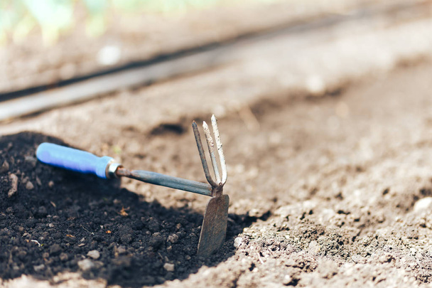 kis kerti kapa és gereblye a földi talaj felkészülés a vetés - Fotó, kép
