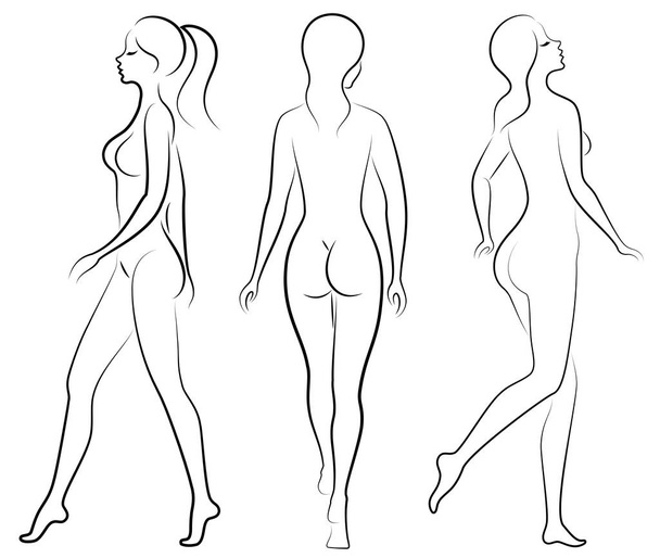 Collection. Silhouette of a sweet lady. A woman is a sexy and slender model. Set of vector illustrations. - Vector, Image