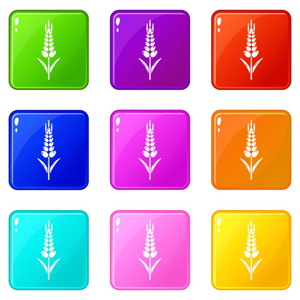 Wheaty wheat icons set 9 color collection - Vektör, Görsel