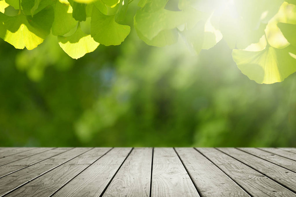 Wooden desk and blur green nature background. - Photo, Image