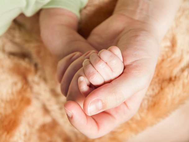 de pasgeboren baby van de benen in de handen van zijn ouders - Foto, afbeelding