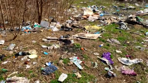 たくさんのゴミが森の地面に落ちる。環境汚染の問題プラスチックやゴミによる環境汚染. - 映像、動画