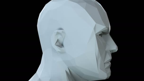 Alacsony Polifónikus fej, műtárgyak, egyszerű stílus a térben, 3D renderelés számítógéppel generált háttér - Felvétel, videó