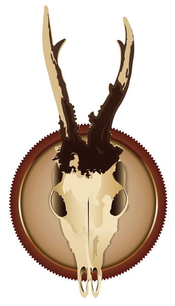 Vector deer skull on a wooden board - Vector, Imagen