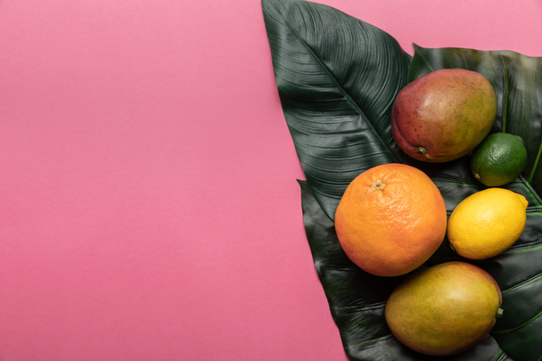 vue de dessus d'agrumes tropicaux mûrs entiers et de mangue sur des feuilles vertes sur fond rose avec espace de copie
 - Photo, image