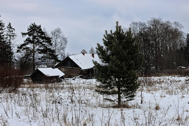 dům venkovské zimy - Fotografie, Obrázek