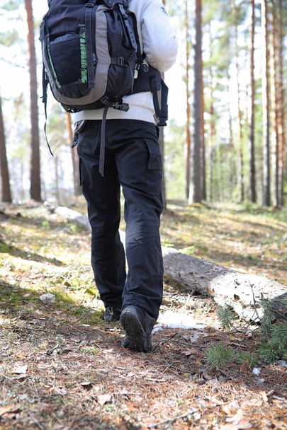 Чоловік турист у сосновому лісі з рюкзаком. Пішохідний трамвай
 - Фото, зображення