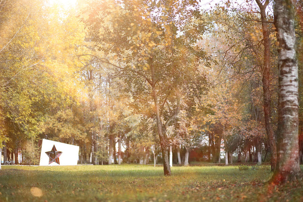 Achtergrond van de herfst in het park - Foto, afbeelding