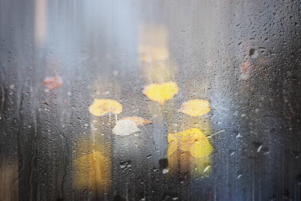 Fondo lluvia de otoño en el parque
 - Foto, Imagen