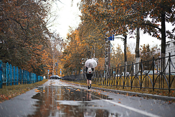 Φθινόπωρο βροχή στο πάρκο κατά τη διάρκεια της ημέρας - Φωτογραφία, εικόνα
