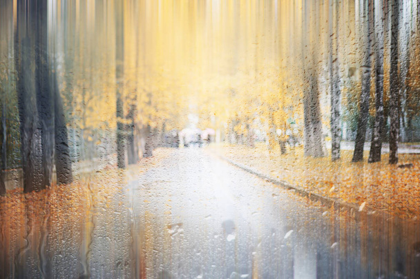 Pozadí – podzimní déšť v parku - Fotografie, Obrázek
