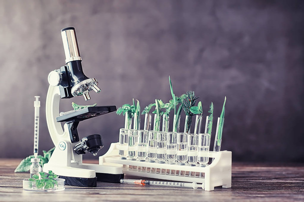 Μικροσκόπιο και πάρματα στο τραπέζι στο εργαστήριο. Μελέτη για τους ΓΤΟ στα πράσινα. - Φωτογραφία, εικόνα