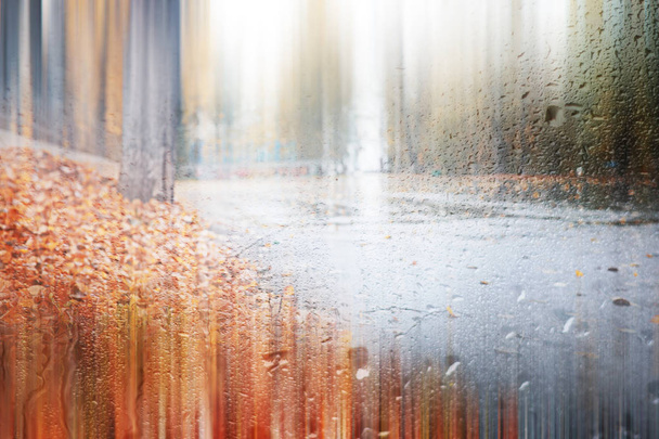 Fondo lluvia de otoño en el parque
 - Foto, imagen
