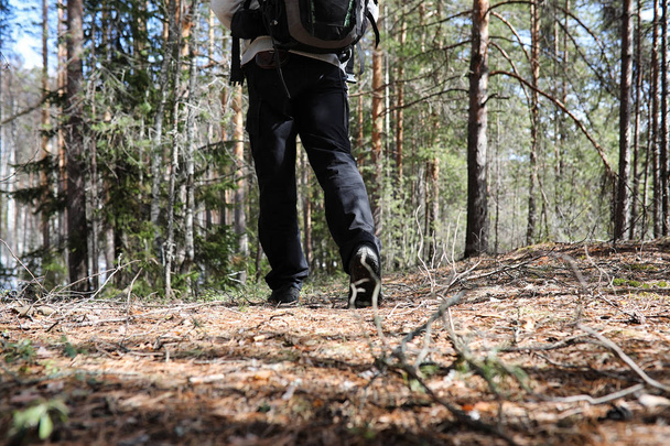 Un hombre es un turista en un bosque de pinos con una mochila. Un tr senderismo
 - Foto, imagen